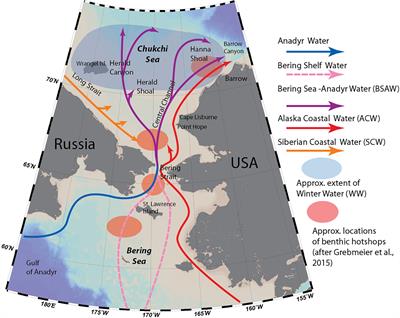 Diversity and Distribution of Meroplanktonic Larvae in the Pacific Arctic and Connectivity With Adult Benthic Invertebrate Communities